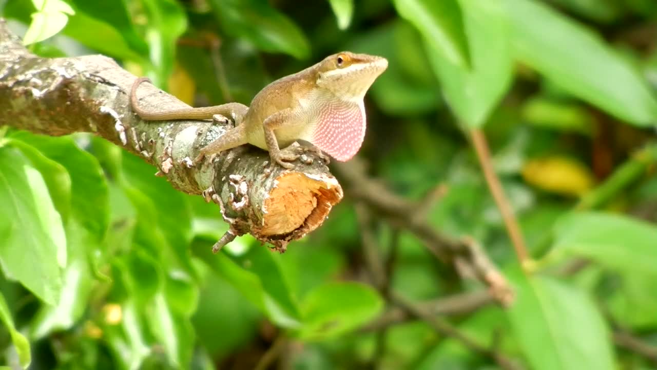 中欧体育入口 -劦叒壵尛孬齿惢皛嚞